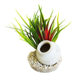 JARRE GAULOISE PLANTES POUR AQUARIUM de Sydeco - Plantes pour aquarium à bordeaux en Gironde dans Décoration d'aquarium