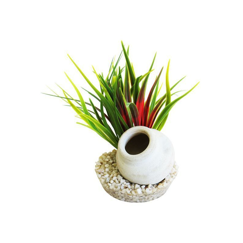 JARRE GAULOISE PLANTES POUR AQUARIUM de Sydeco - Plantes pour aquarium à bordeaux en Gironde dans Décoration d'aquarium