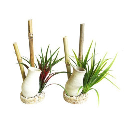 JARDIN JAPONAIS POUR AQUARIUM de Sydeco - Plantes pour aquarium à bordeaux en Gironde dans Décoration d'aquarium