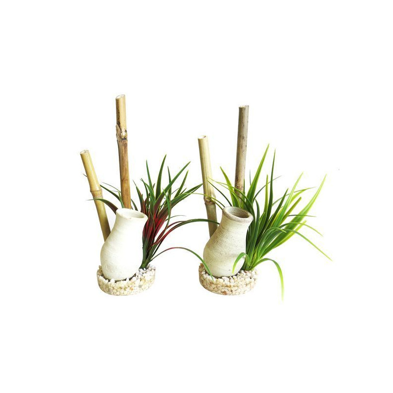 JARDIN JAPONAIS POUR AQUARIUM de Sydeco - Plantes pour aquarium à bordeaux en Gironde dans Décoration d'aquarium