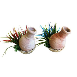 WHISKY JARRE PLANTES POUR AQUARIUM de Sydeco - Plantes pour aquarium à bordeaux en Gironde dans Décoration d'aquarium