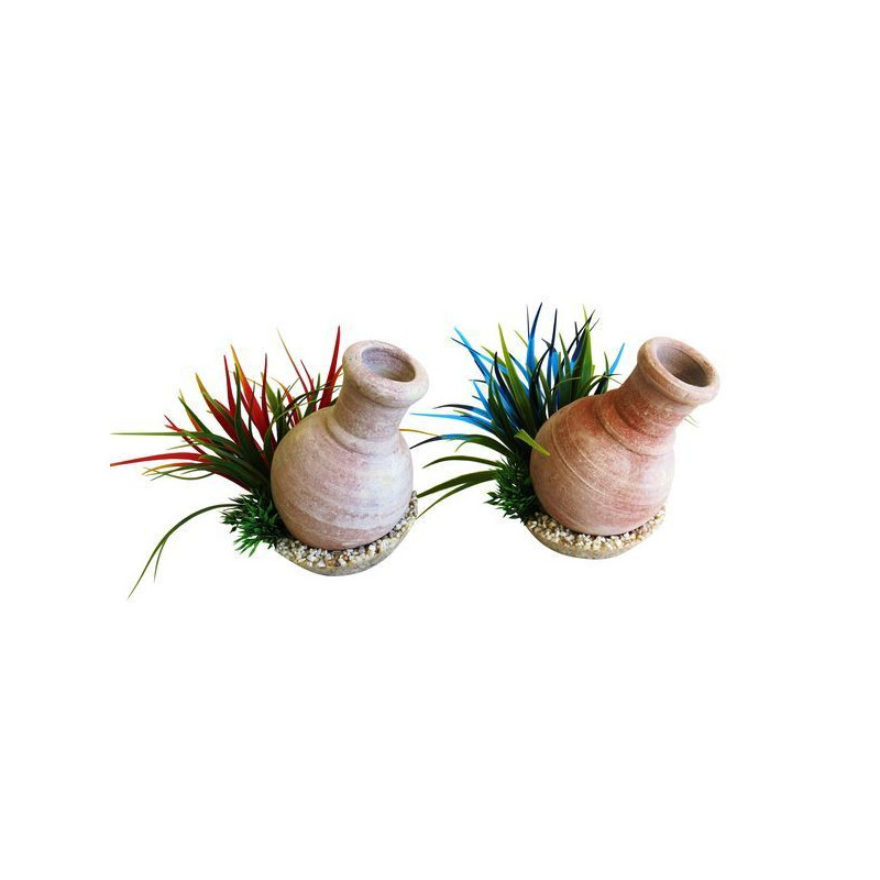 WHISKY JARRE PLANTES POUR AQUARIUM de Sydeco - Plantes pour aquarium à bordeaux en Gironde dans Décoration d'aquarium