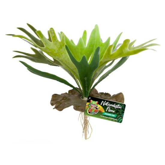 /DECOR STAGHORN FERN BU-65E de Zoomed - Accessoires reptiles dans Decoration terrarium