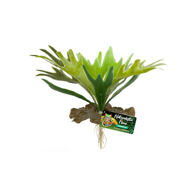 /DECOR STAGHORN FERN BU-65E de Zoomed - Accessoires reptiles dans Decoration terrarium