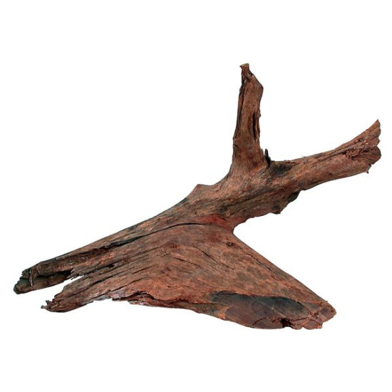 RACINE MANGROVE MEDIUM 25/40CM de Zolux - Produit pour animaux dans Décoration d'aquarium