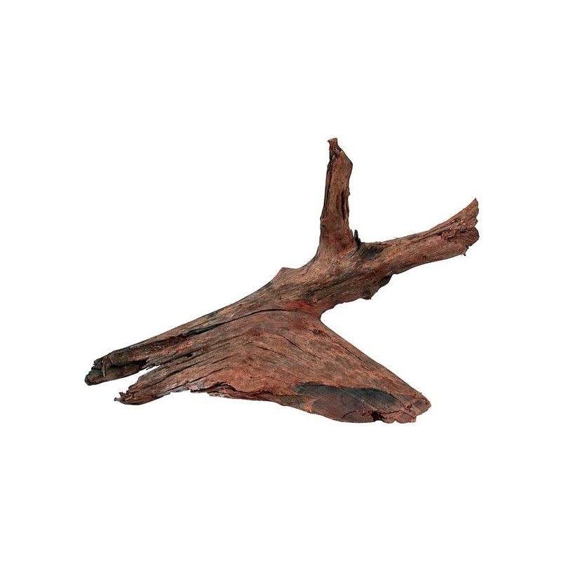 RACINE MANGROVE MEDIUM 25/40CM de Zolux - Produit pour animaux dans Décoration d'aquarium