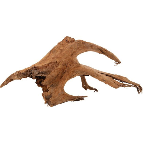 RACINE MANGROVE LARGE 40/60CM de Zolux - Produit pour animaux dans Décoration d'aquarium