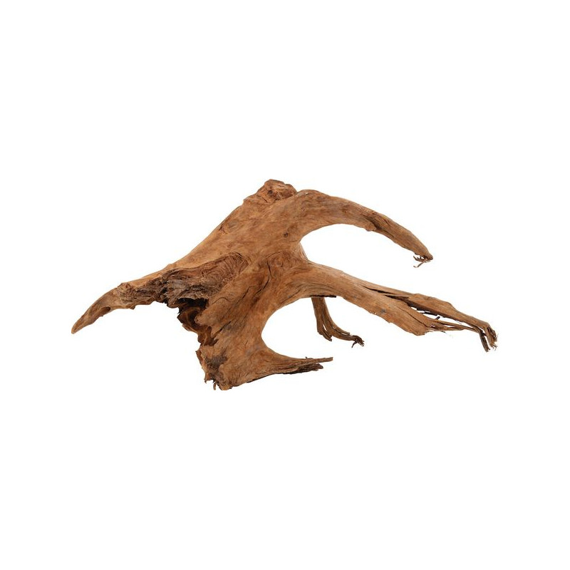 RACINE MANGROVE LARGE 40/60CM de Zolux - Produit pour animaux dans Décoration d'aquarium