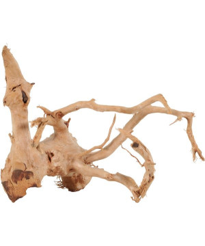 RACINE ARAIGNÉE 10-30CM de Zolux - Produit pour animaux dans Décoration d'aquarium