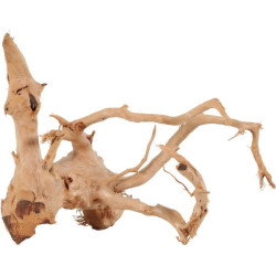 RACINE ARAIGNÉE 10-30CM de Zolux - Produit pour animaux dans Décoration d'aquarium