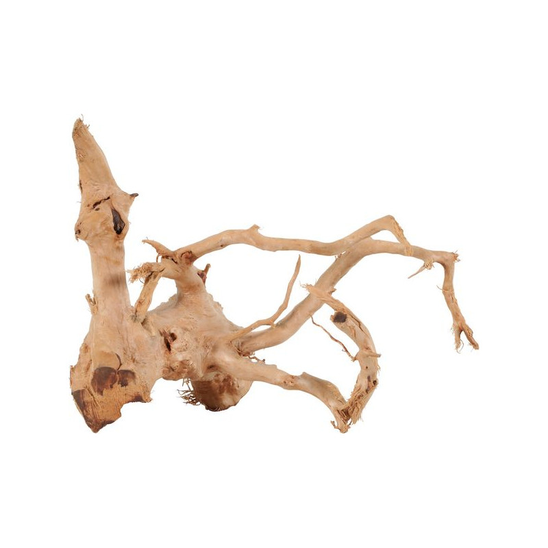 RACINE ARAIGNÉE 10-30CM de Zolux - Produit pour animaux dans Décoration d'aquarium