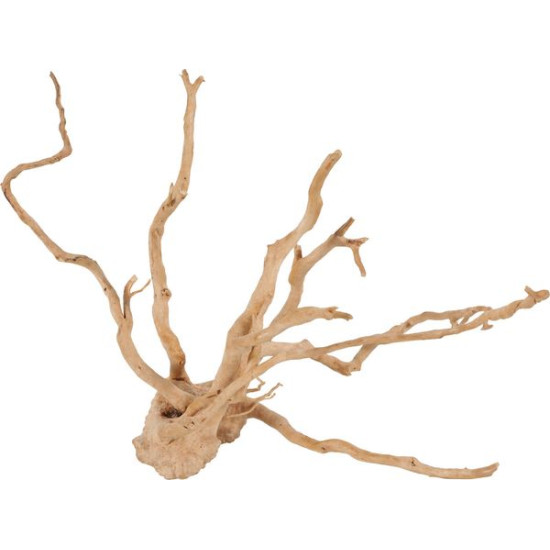 RACINE ARAIGNÉE 10-30CM de Zolux - Produit pour animaux dans Décoration d'aquarium