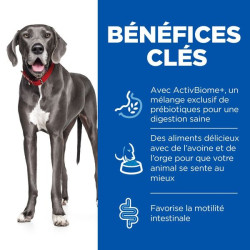 Chien Perfect Digestion Large Breed 12kg de Hill's - croquette pour chien et chat dans Hill's pour chiens