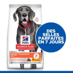 Chien Perfect Digestion Large Breed 12kg de Hill's - croquette pour chien et chat dans Hill's pour chiens