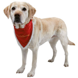 collier Necki+bandana M 37-47cm/20mm Noel de Trixie - Produit pour animaux dans Colliers pour chien