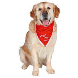 collier Necki+bandana M-L 45-55cm/25mm Noel de Trixie - Produit pour animaux dans Colliers pour chien