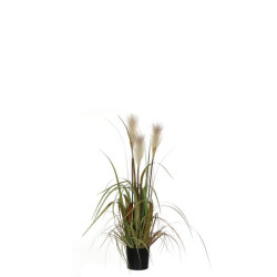 /FOXTAIL BLANC DPOT 81CM de Edelman - deco maison et noël dans Plantes artificielles