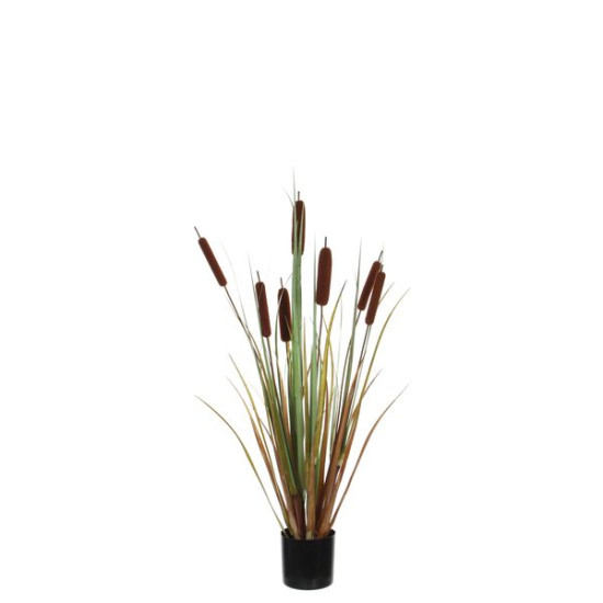 TYPHA D/POT 90CM de Edelman - deco maison et noël dans Plantes artificielles