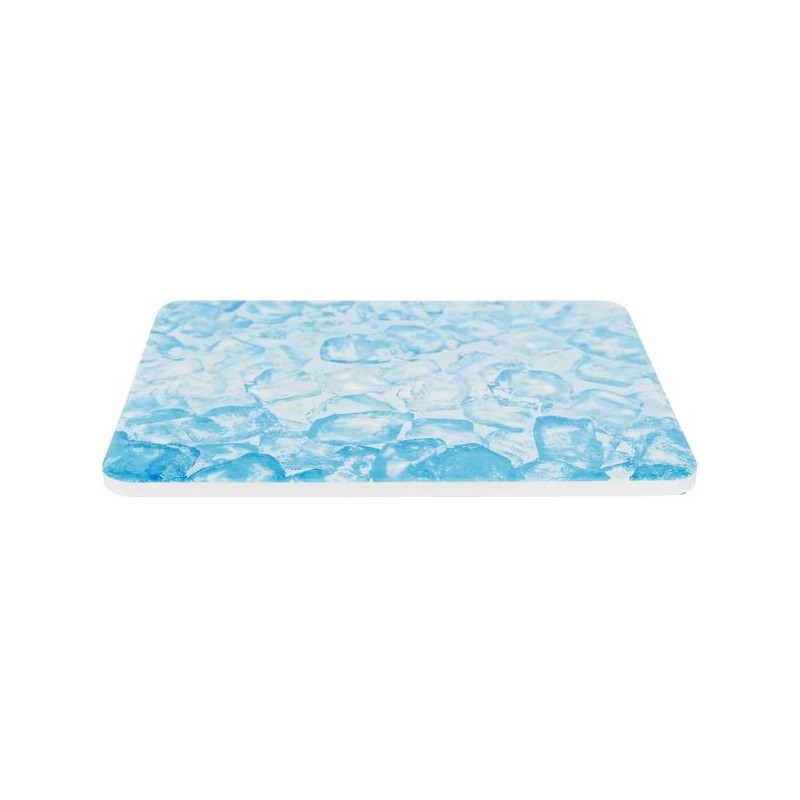 Plateau rafraîchissant hamster 20x15cm bleu de Trixie - Produit pour animaux dans Accessoires pour rongeurs