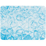 Plateau rafraîchissant hamster 20x15cm bleu de Trixie - Produit pour animaux dans Accessoires pour rongeurs