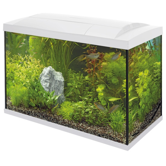 Superfish start 70 tropical kit blanc de Superfish - Aquadistri - accessoires pour aquarium et bassin dans Aquariums 60 à 150...