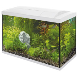 Superfish start 70 tropical kit blanc de Superfish - Aquadistri - accessoires pour aquarium et bassin dans Aquariums 60 à 150...