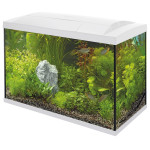 Superfish start 70 tropical kit blanc de Superfish - Aquadistri - accessoires pour aquarium et bassin dans Aquariums 60 à 150...
