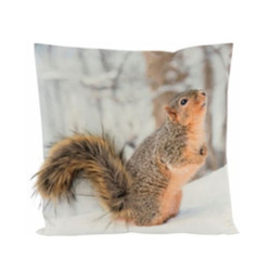 COUSSIN EICHHORNCHEN 45X45 de Hoff - Décoration de la maison dans 🛋️Coussin et plaid de Noël