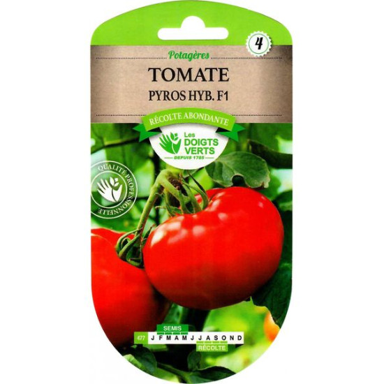 Tomate Pyros Hybride F1 -graines de Les Doigts Verts - graines de Gironde à Bordeaux dans Graines de Tomate