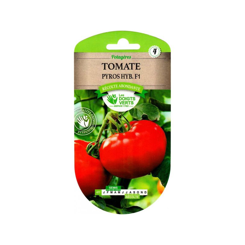 Tomate Pyros Hybride F1 -graines de Les Doigts Verts - graines de Gironde à Bordeaux dans Graines de Tomate