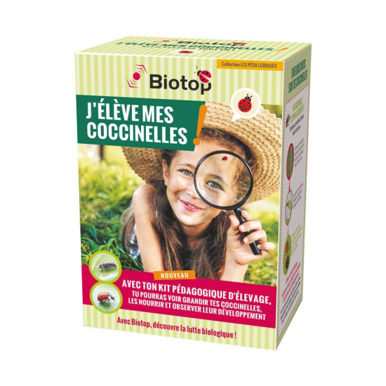Kit Pédagogique D'Élevage De Coccinelles Biotop de Biotop - Traitement bio, insectes pour plantes dans 🏡 Jardin