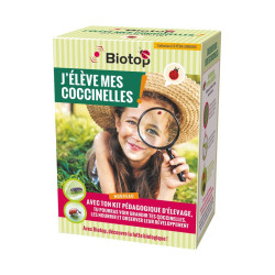 Kit Pédagogique D'Élevage De Coccinelles Biotop de Biotop - Traitement bio, insectes pour plantes dans 🏡 Jardin