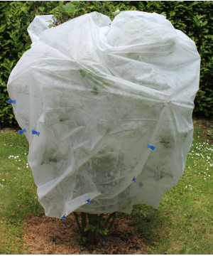 VOILE HIVERNAGE 2X10M de Jardiline - Baches dans Protection d'Hiver