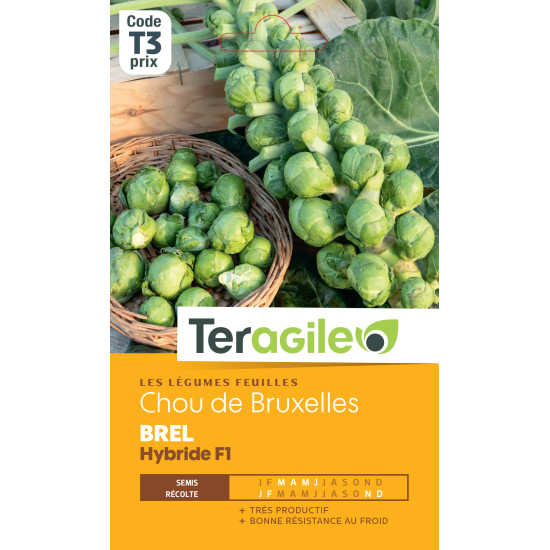 Chou de bruxelles brel hybride f1 0.4 g de Teragile - produits pour le jardin dans Graines de Chou