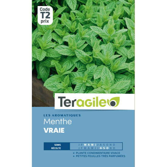 Menthe vraie t2 teragile de Teragile - produits pour le jardin dans Graines de Menthe