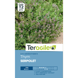 Thym serpolet t2 teragile de Teragile - produits pour le jardin dans Graines de Thym