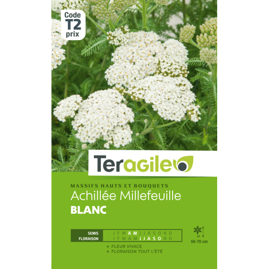 Achillee millefeuille blanc 0.50 g de Teragile - produits pour le jardin dans Graines de fleurs en A
