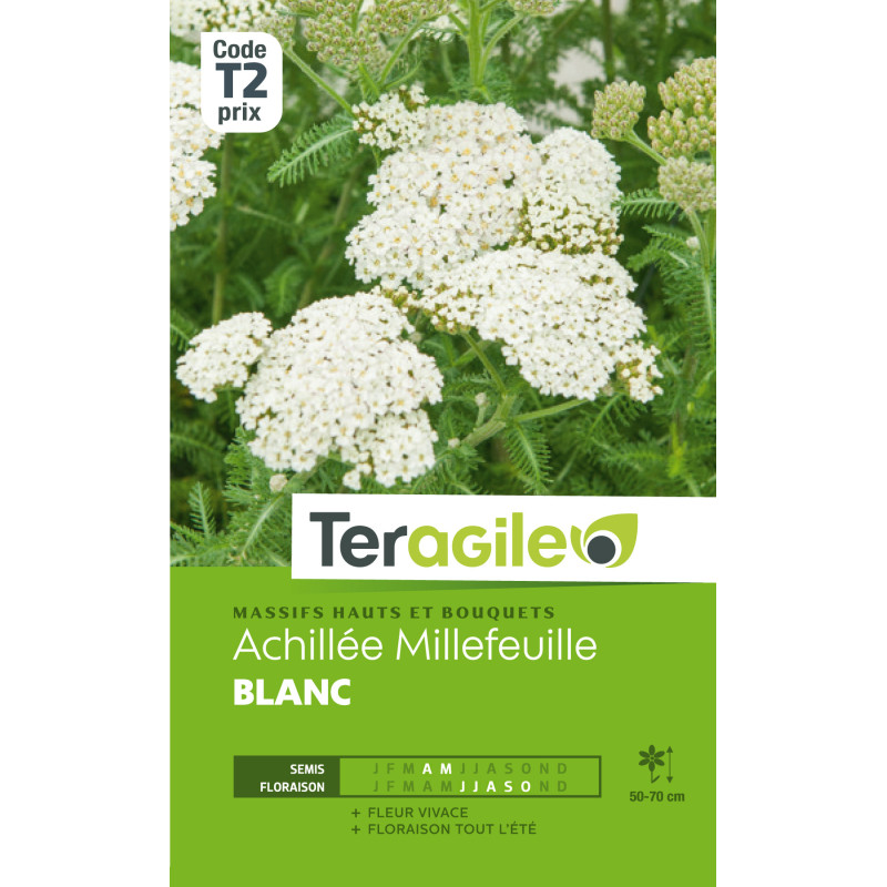 Achillee millefeuille blanc 0.50 g de Teragile - produits pour le jardin dans Graines de fleurs en A