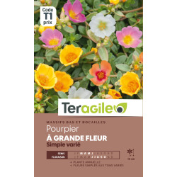 Pourpier a grande fleur simple varie 0.70 g de Teragile - produits pour le jardin dans Graines de fleurs en P