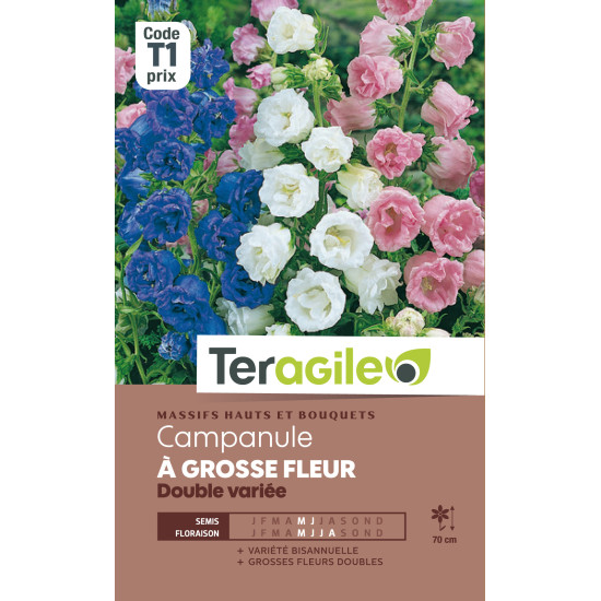 Campanule a grosse fleur double variee 0.80 g de Teragile - produits pour le jardin dans Graines de fleurs en C