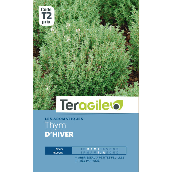 Thym d'hiver t2 teragile de Teragile - produits pour le jardin dans Graines de Thym