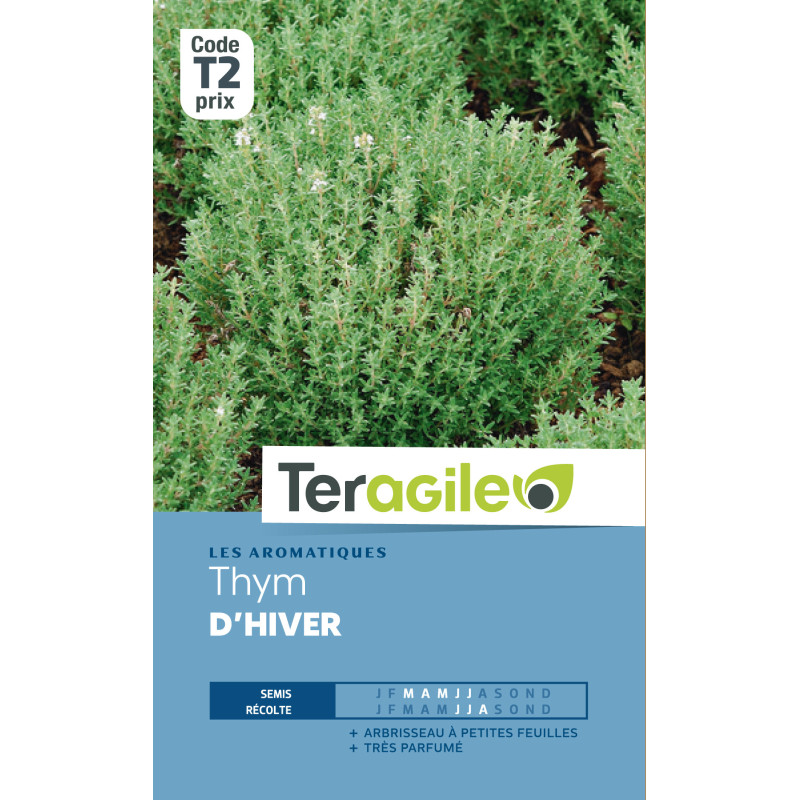 Thym d'hiver t2 teragile de Teragile - produits pour le jardin dans Graines de Thym