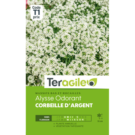 Alysse odorant corbeille d'argent 1.00 g de Teragile - produits pour le jardin dans Graines de fleurs en A