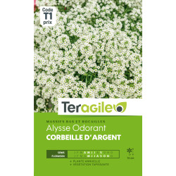Alysse odorant corbeille d'argent 1.00 g de Teragile - produits pour le jardin dans Graines de fleurs en A
