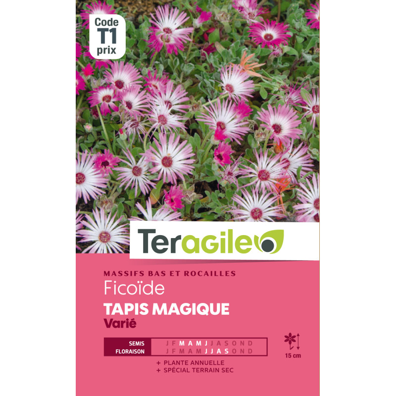 Ficoide tapis magique varie 1.00 g de Teragile - produits pour le jardin dans Graines de fleurs en F