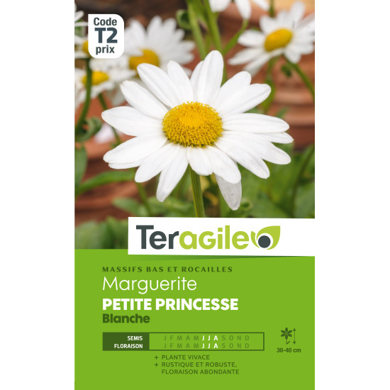 Marguerite petite princesse naine blanche 1.00 g de Teragile - produits pour le jardin dans Graines de fleurs en M