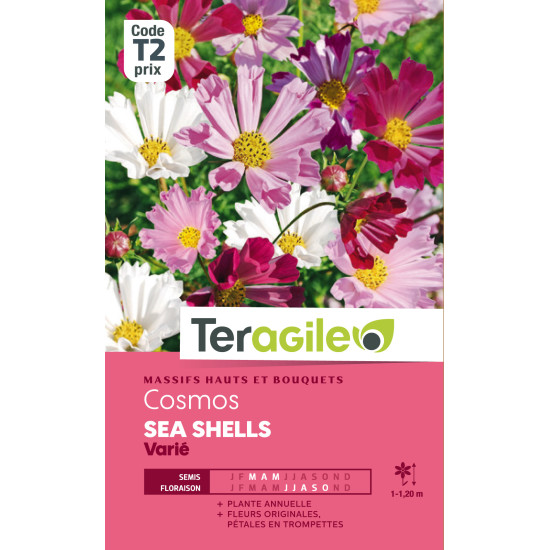 Cosmos sea shells varie 1.00 g de Teragile - produits pour le jardin dans Graines de fleurs en C