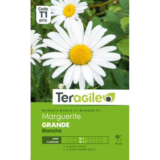 Marguerite grande blanche 1.00 g de Teragile - produits pour le jardin dans Graines de fleurs en M