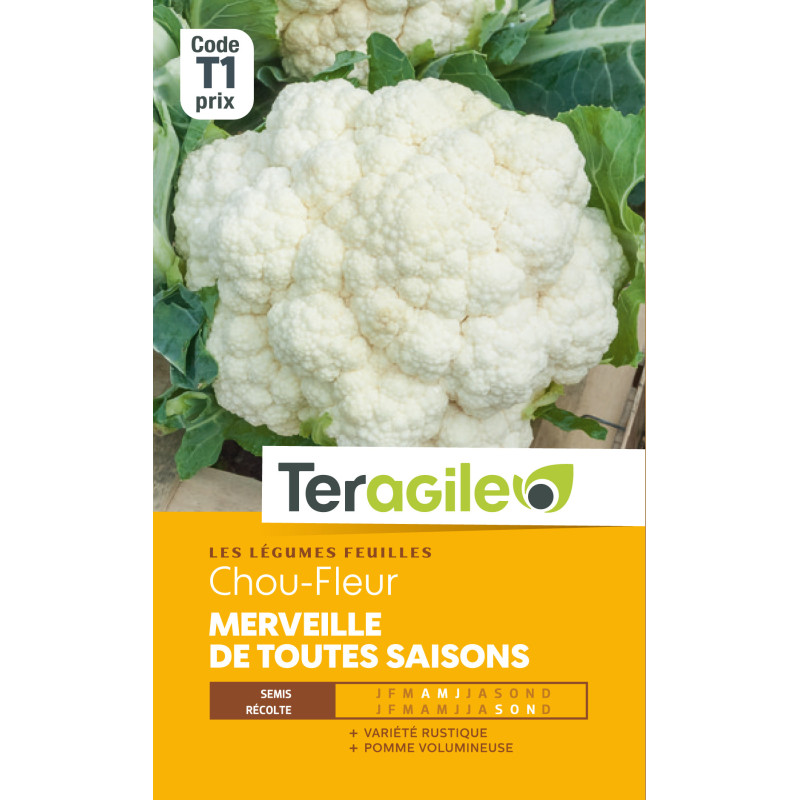 Chou-fleur merveille tts sais. t1 teragile de Teragile - produits pour le jardin dans Graines de Chou