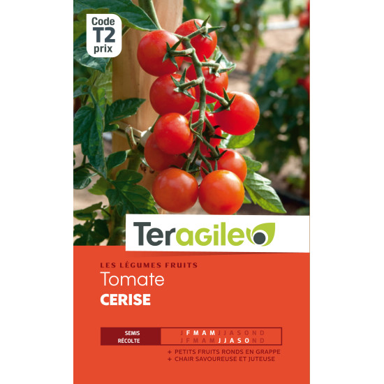 Tomate cerise t2 teragile de Teragile - produits pour le jardin dans Graines de Tomate